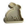 Hase
