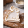 Hase