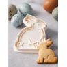 Hase