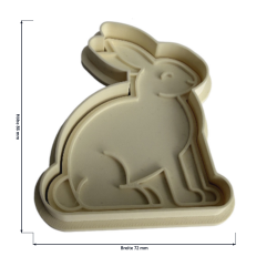 Hase